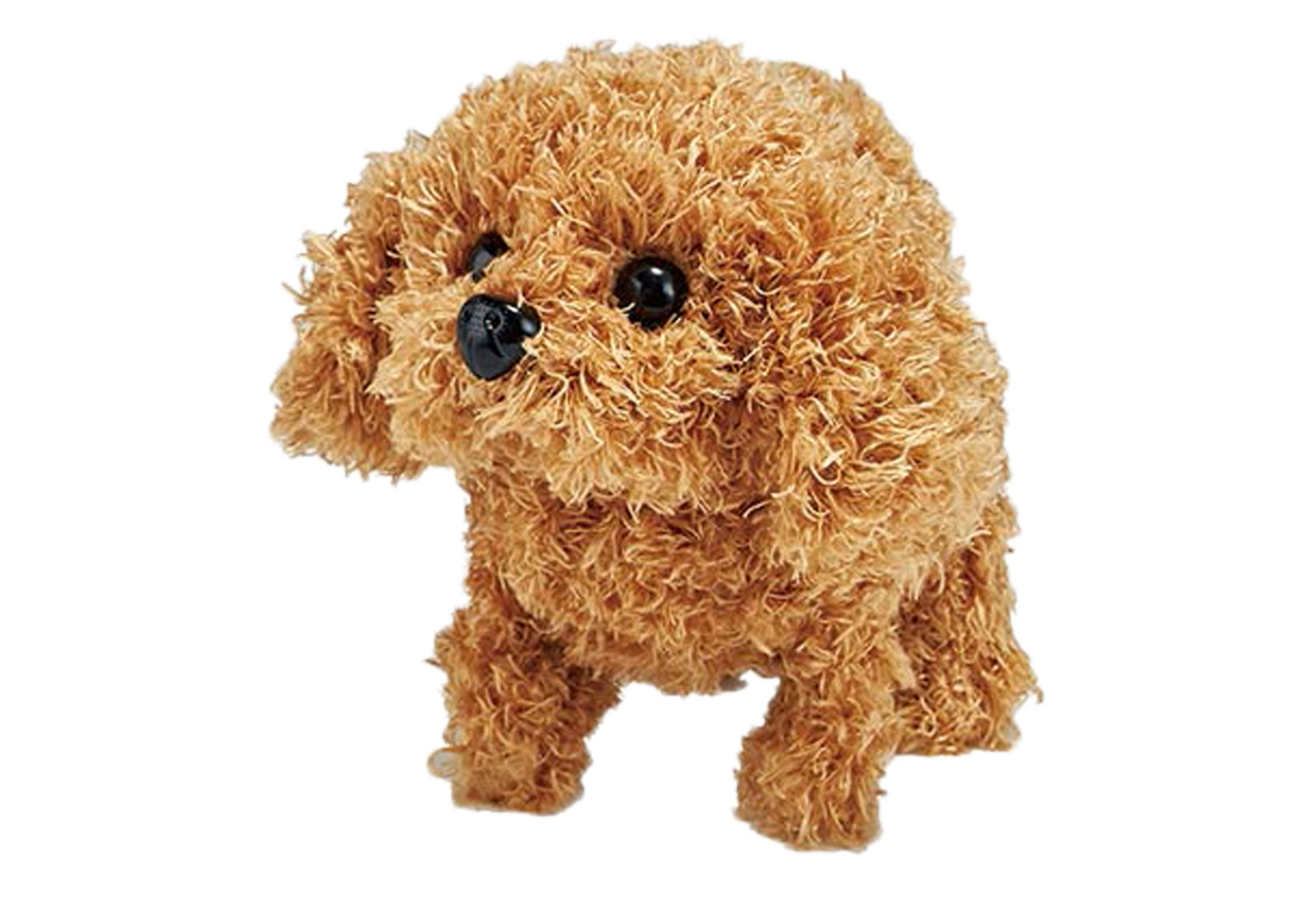 Walking and Barking Dog Soft Toy – The Perfect Playful Puppy (Poodle) - Image 1